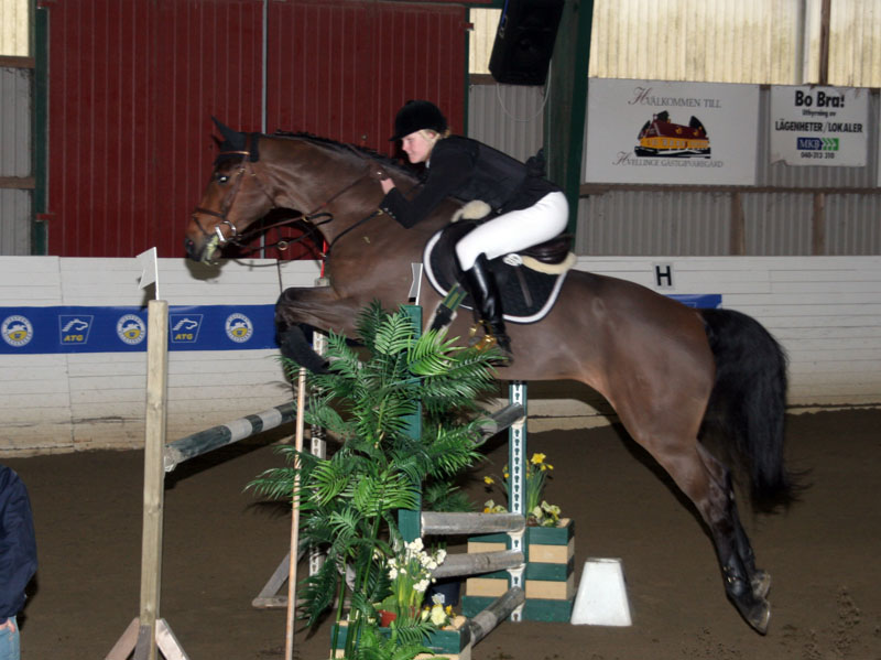 20080405_171224 Elin Karlsson Sealord H